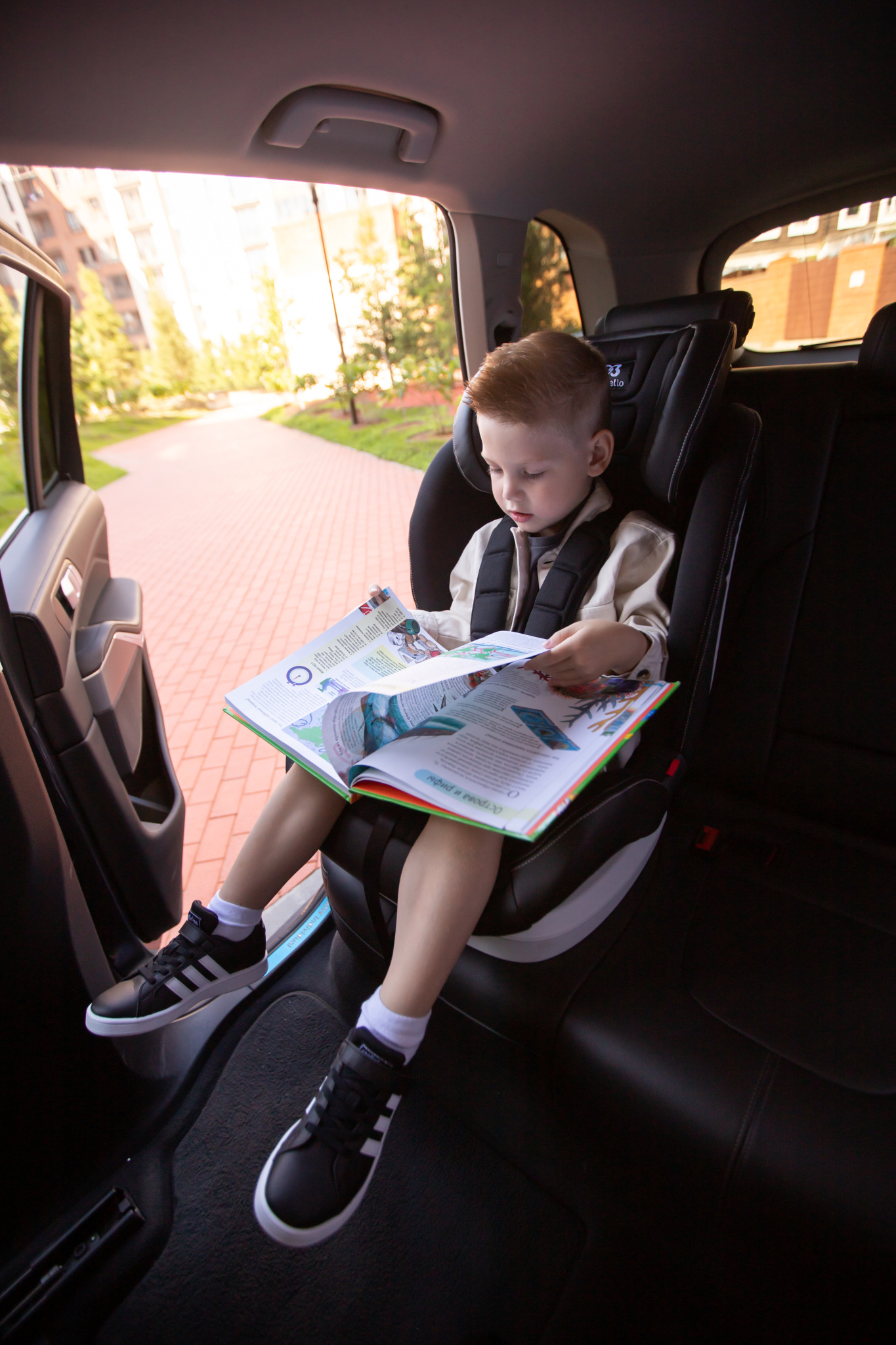 Книги в дорогу в машину.jpg